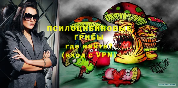 метадон Белокуриха