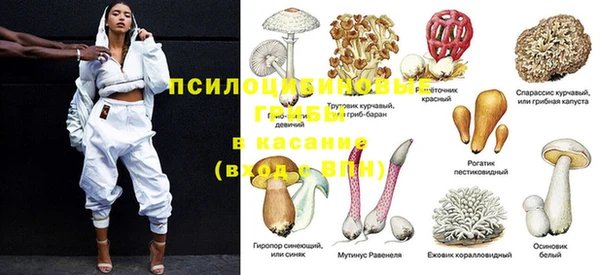 метадон Белокуриха